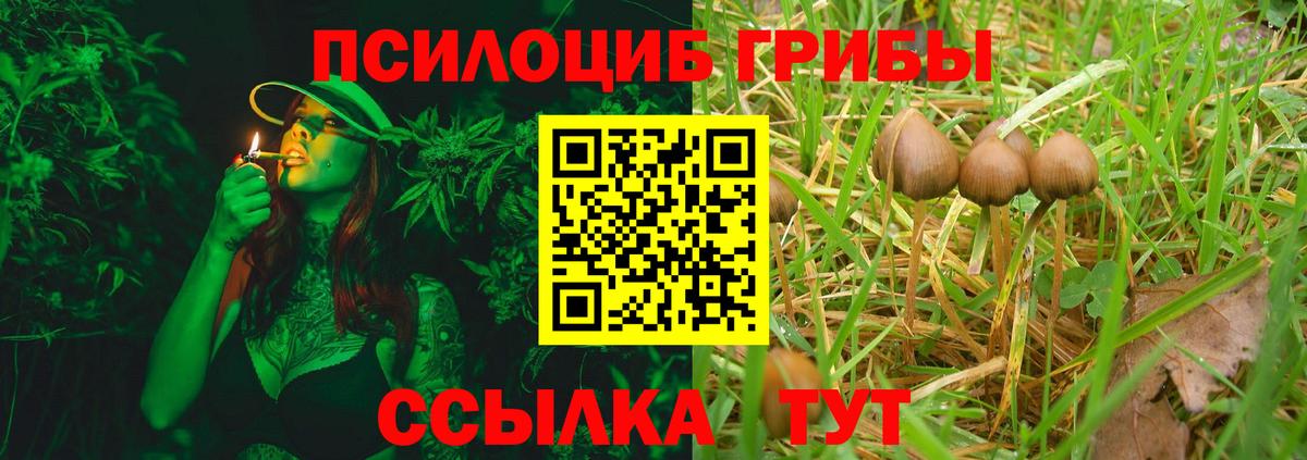 Пенза  Галлюциногенные грибы Psilocybine cubensis  купить   Вход с VPN 