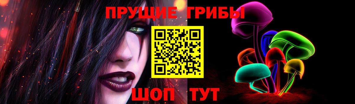 Галлюциногенные грибы Psilocybine cubensis Пенза